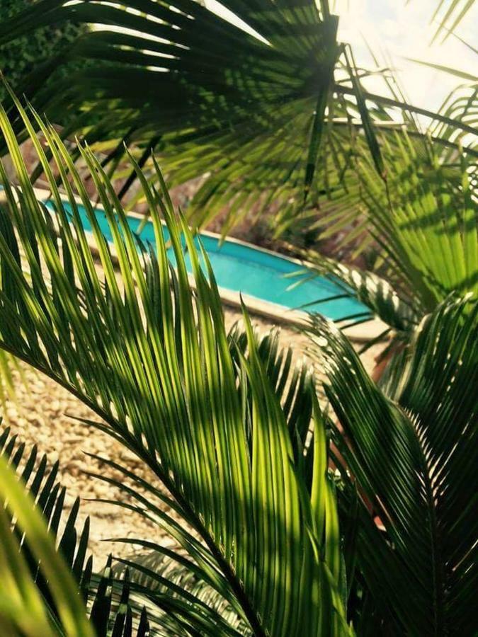 Hotel Apartmanovy Dom Red Podhájska Zewnętrze zdjęcie